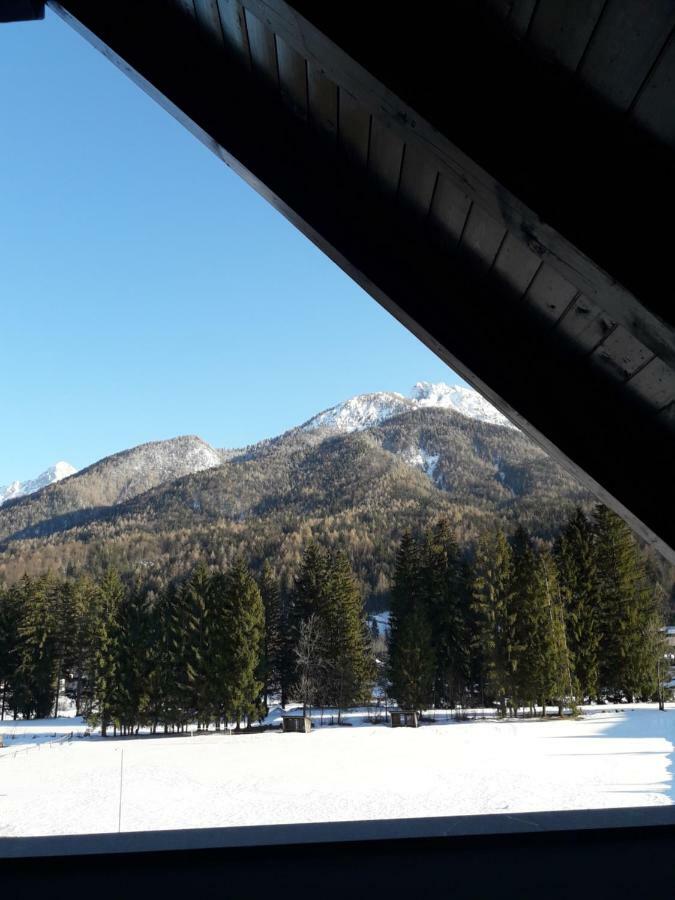 Apartma Kurji Vrh - Chicken Top Kranjska Gora Exterior photo